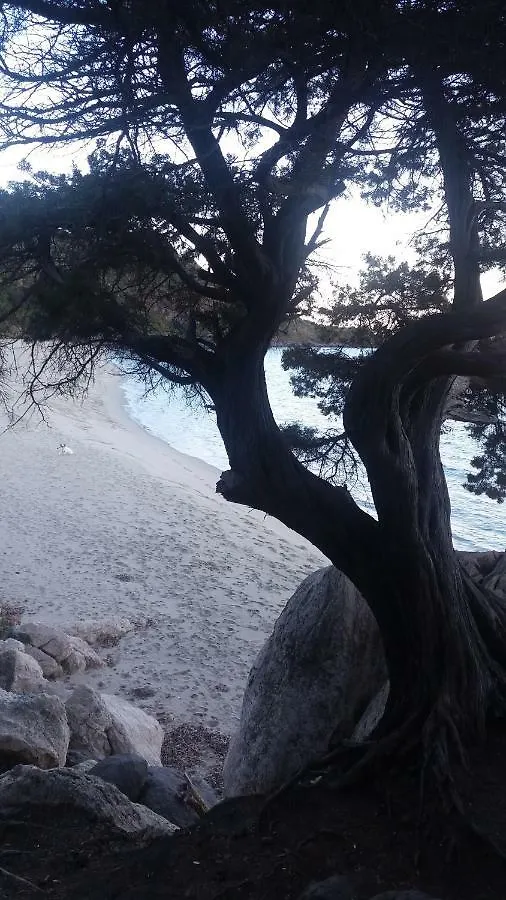 Apartamento Sa Dommo De Mammai Cala Gonone Italia