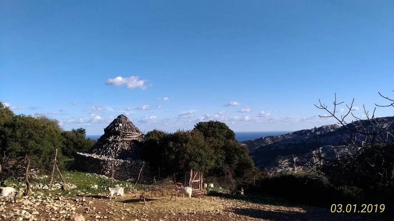 Apartamento Sa Dommo De Mammai Cala Gonone Italia